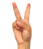 ASL sign for 2