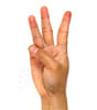 ASL sign for 6