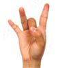 ASL sign for 8